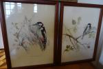 Lot de 9 reproductions encadrées à décor d'oiseaux, volatiles. (SALLE...