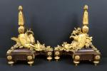 Paire de chenets de style Louis XVI en bronze doré...