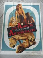 LES AMOURS CLANDESTINES D'UNE ARISTOCRATE  - Un film de...