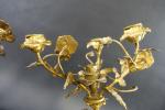 Paire de petits candélabres d'époque Napoléon III en bronze doré...