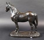 MASSON Jules-Edouard (1871-1932) : Cheval. Bronze patiné, signé. Haut :...