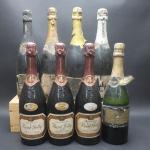 Champagne. Lot de 8 bouteilles comprenant : René Jolly brut...