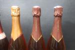 Champagne rosé. Lot de 5 bouteilles comprenant : Michel Lerot-Galland,...