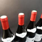 Bourgogne rouge. 6 bouteilles Nuits-Saint-Georges 2018 Pierre Lamotte