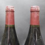 Bourgogne rouge. 2 bouteilles Maranges Premier Cru, La Fussière, 2005,...