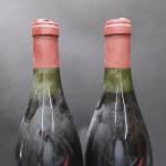 Bourgogne rouge. 2 bouteilles Gevrey Chambertin, Clos Prieur, domaine Roy,...