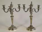 9 - Paire de candélabres de style Louis XVI à...