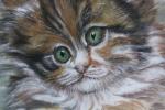HAMAC Martine (XXème siècle) - Portrait de chat aux yeux...