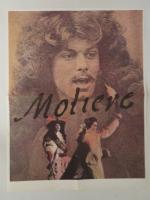 « MOLIERE » (1978) de Ariane MNOUCHKINE avec Philippe Caubère, Roger Planchon...