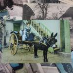 THEMATIQUES - RETOURS DE MARCHE :
Lot de 35 cartes postales...