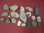 Lot de fossiles et minéraux divers et pesons anciens