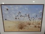 VIGOUROUX MICHELE (XXe) - "Plantes du désert", "Image de savane",...