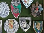 France Lot de 31 (env.) insignes militaires divers, nombreuses reproductions,...