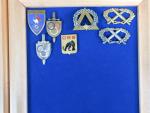 France Lot de 40 (env.) insignes militaires divers, nombreuses reproductions,...