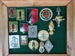 France Lot de 27 (env.) insignes militaires divers, nombreuses reproductions,...