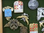 France Lot de 41 (env.) insignes militaires divers, nombreuses reproductions,...