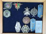France Lot de 38 (env.) insignes militaires divers, nombreuses reproductions,...