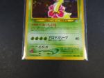 Carte Pokemon
Contenu : Carte rare Meganium 
Edition : Neo Genesis
Langue : Japonais
Etat A :...