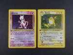 Carte Pokémon
Contenu : Lot de 2 cartes rares dont Mewtwo et...