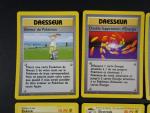 Carte Pokémon
Contenu : Lot de 8 cartes rares dont Electrode, Elektek,...