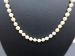 Collier perles de culture, fermoir or jaune 750 millièmes (perles...