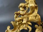 Paire de chenets de style Louis XV en bronze redoré...