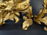 Paire de chenets de style Louis XV en bronze redoré...