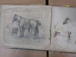 5 albums de dessins époque XIXe, certains situés à Puellemontier,...