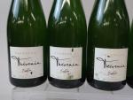 CHAMPAGNE. 9 bout. Philippe Thevenin Tradition Brut