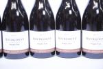 BOURGOGNE Rouge - 6 B. Bourgogne Pinot fin, 2017, domaine...