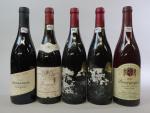 BOURGOGNE ROUGE. 5 bout. dépareillées Pinot Noir 2001 - 2004...