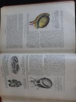 Traité d'anatomie humaine, 8e édition, 5 volumes, usures.