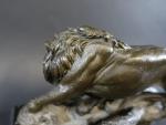 Couple de lion et lionne en bronze patiné, sur socle...