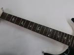 PRS Made in USA - Guitare électrique verte numéro de...