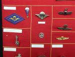 France Lot d'insignes dont Parachutistes, montés sur panneau, dont reproductions....