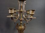 Paire de candélabres Napoléon III à cinq lumières en bronze...