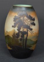 MULLER Frères LUNEVILLE : Vase ovoïde en verre camée multicouche...