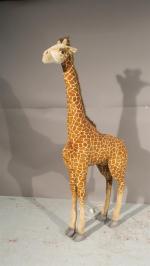 Automate Girafe marron, 80 x 30 x 165. Mouvements possibles...