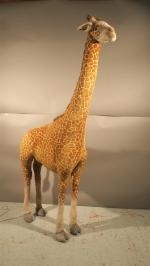 Automate Girafe marron, 100 x 30 x 200. Mouvements possibles...