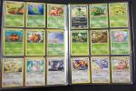 Carte Pokemon 
Contenu : Environ 330 cartes rares, uncos, communes dont...