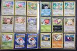 Carte Pokemon 
Contenu : Environ 320 cartes rares, uncos, communes dont...