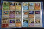 Carte Pokemon 
Contenu : Ensemble d'environ 260 cartes rares, uncos, communes...