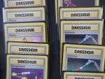 Carte Pokemon 
Contenu : lot de 62 cartes dresseurs rares/uncos Peluche...