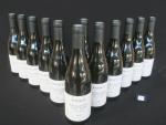 12 bouteilles Bourgogne Côte d'Or Pinot noir 2021 Pierre Ravaut...
