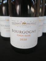 12 bouteilles Bourgogne Pinot noir 2020, Domaine Maldant-Pauvelot à Chorey-Les-Beaune,...