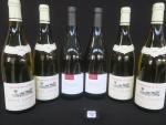 4 bouteilles Petit Chablis 2020 blanc Domaine d'Elise, Frédéric Prain...