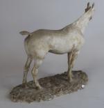 MALISSARD Georges (1877-1942) : Le cheval "Grey Melton". Plâtre d'atelier...