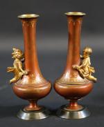 Paire de petits vases en bronze à deux patines ornés...