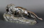 D'après BONHEUR Isidore : Lion aux agnets. Bronze patiné, signé....