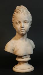 D'après Jean-Antoine HOUDON : Buste de Louise BRONGNIART sur piédouche...
